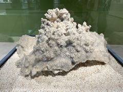 -中国湿地博物馆