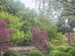 -嘉定紫藤园