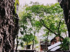 -南山风景名胜区