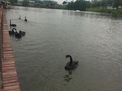 -中国移动南方基地