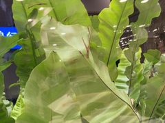 -瑞福园联谊餐室(茂名南路店)