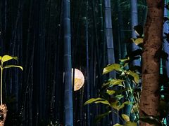 -杭州黄龙洞
