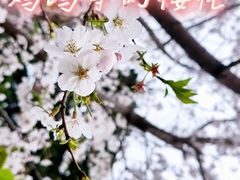 -鸡鸣寺