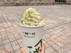 -一树一叶·福建茶档(石鼓路店)