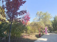 -黛秀湖公园