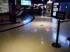 -奥斯卡升龙国际影城(RealD Cinema)