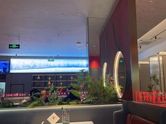 -7号院家宴.烧鸽子(门头沟店)