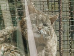 -青藏高原野生动物园