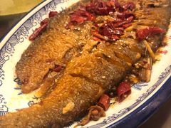 -鑫农家大院(余家头店)