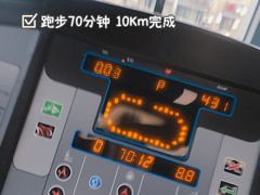 -金吉鸟健身游泳