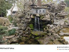 -上海醉白池公园
