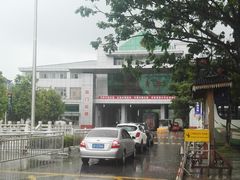 -打洛口岸