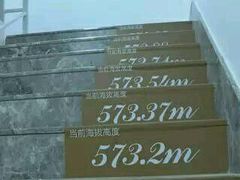 -WFC会仙楼观景台