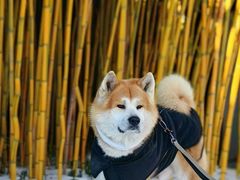 -盛世南宫影视城(北普陀影视城)