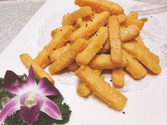-秦乐宫