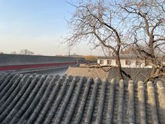 -The Georg(东华门店)