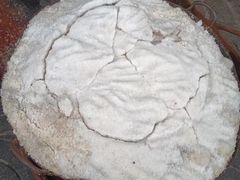 -吉英盐焗鸡(文中路店)