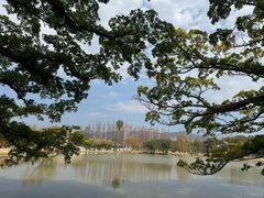 -江心屿景区