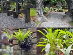 -深圳仙湖植物园