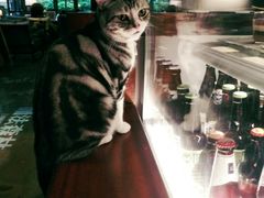 -咖法森林·咖啡  酒吧(天河店)