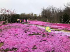 -棒棰岛宾馆景区