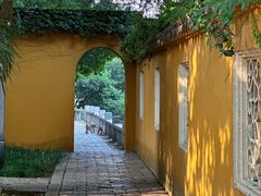 -苏州上方山国家森林公园