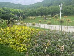 -苏州上方山国家森林公园