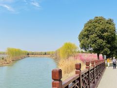 -南湖湿地公园
