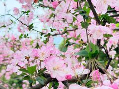 -西北湖绿化广场
