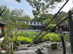 -上海醉白池公园