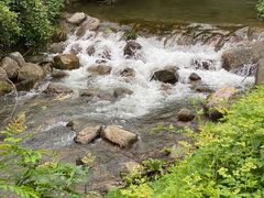 -东天目山风景区