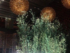 iphone_upload_pic-天津君隆威斯汀酒店