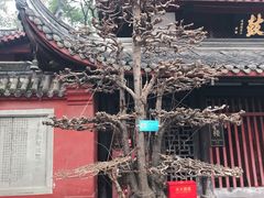 -洞子口张老二凉粉(文殊院店)