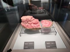 -安徽省地质博物馆