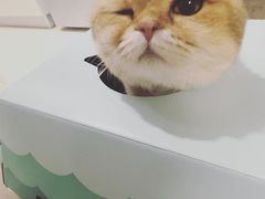 -麦当劳(双榆树店)
