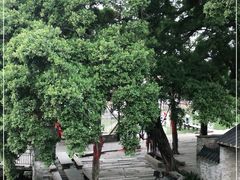 -烟桥私房菜馆(奋哥)