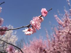 -江苏三台山国家森林公园