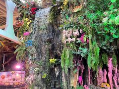 -正佳雨林生态植物园