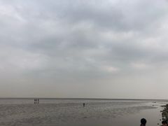 -南汇嘴观海公园