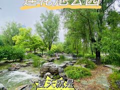 -莲花池公园