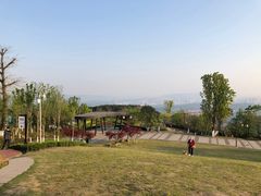 -铁山坪森林公园