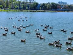 -长春市南湖公园