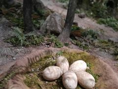 -湖南省地质博物馆