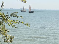 -贡湖湾湿地公园