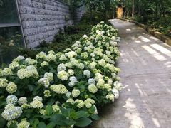 -南山植物园