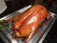 -阿庄新豫菜(航海东路店)
