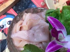 -蜀大侠火锅(森兰花园城店)