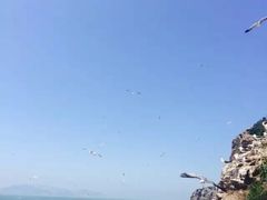 -海驴岛(荣成市)