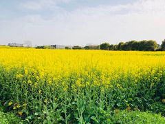 -小鱼草莓采摘园农家乐·小鱼餐厅