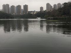 -重庆彩云湖湿地公园